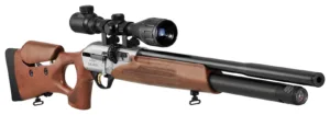 First introduction to air gun is about air gun power source from multi pump, PCP, CO2 & spring piston with pros & cons. Introduction to Air Gun : Power Source.